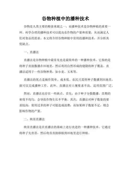 谷物种植中的播种技术