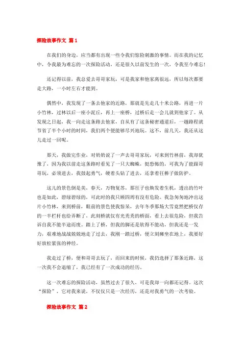 探险故事作文 30篇