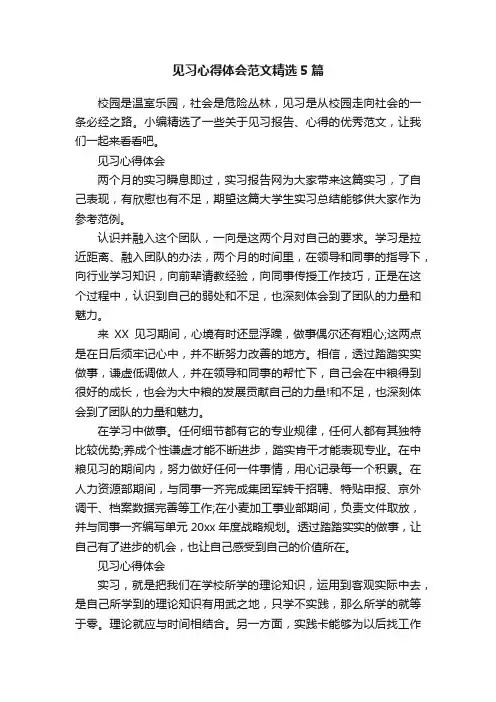 见习心得体会范文精选5篇