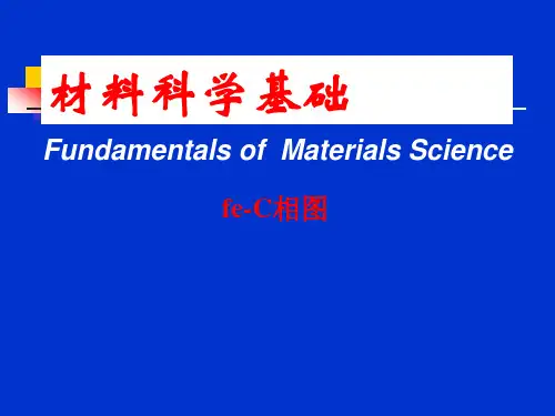 材料科学基础(Fe-C相图)