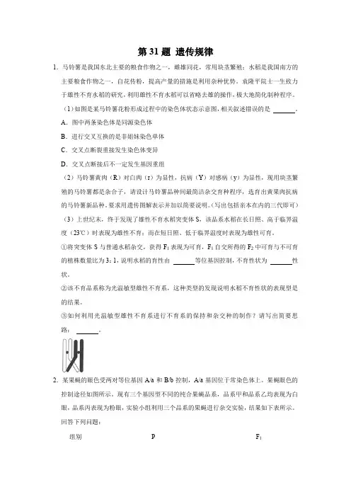 第31题 遗传规律-高考生物逐题必刷200题(原卷版)