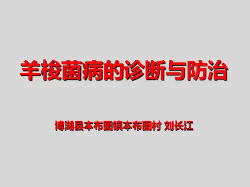 羊梭菌病的诊断与防治