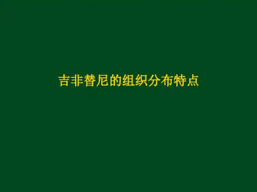 Iressa维持治疗