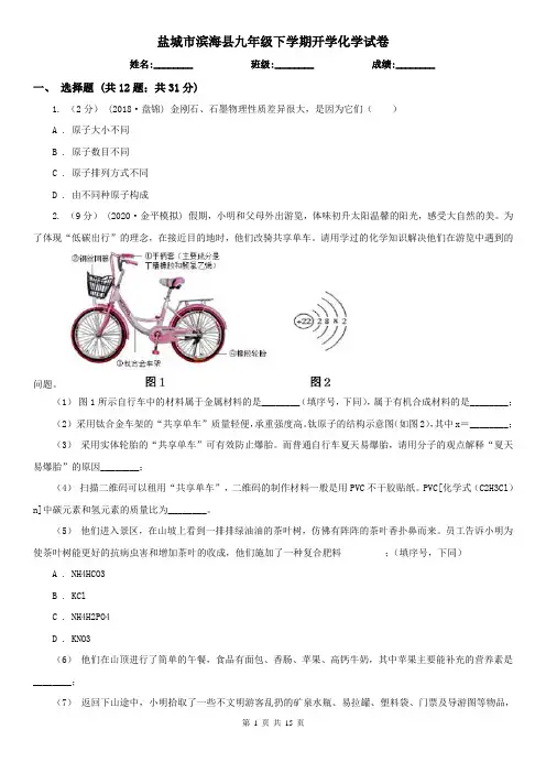 盐城市滨海县九年级下学期开学化学试卷
