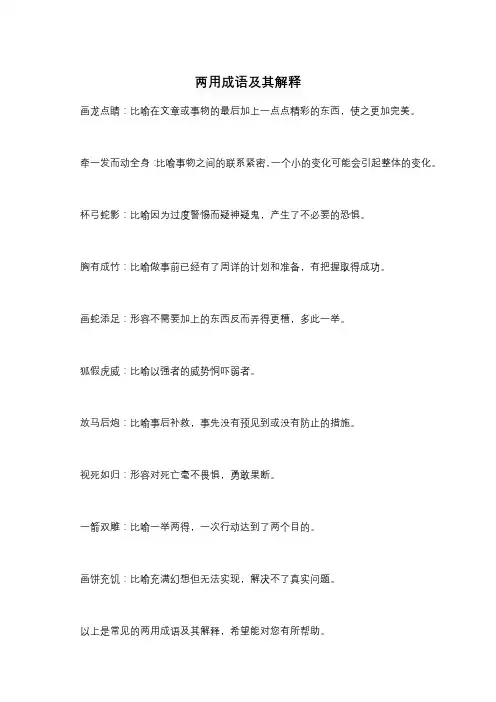 两用成语及其解释