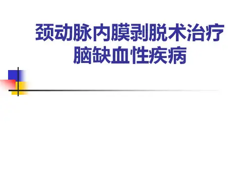 颈内动脉内膜剥脱术课件