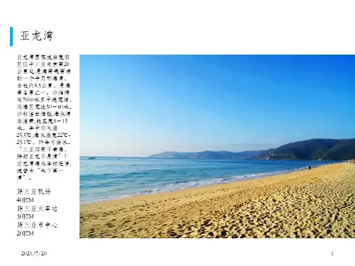 亚龙湾酒店研究_OK