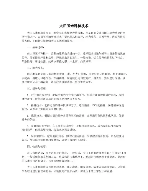 大田玉米种植技术