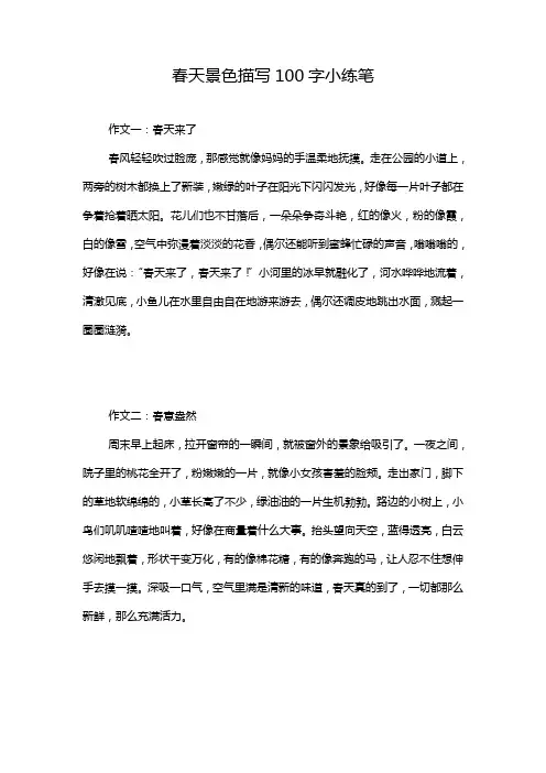 春天景色描写100字小练笔
