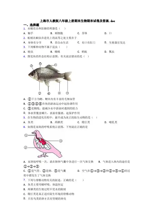 上海市人教版八年级上册期末生物期末试卷及答案.doc