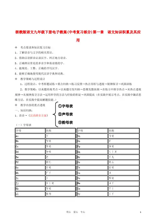 九年级语文下册 语文知识积累及其应用复习教案  浙教版