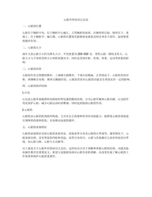 心脏外形知识点总结