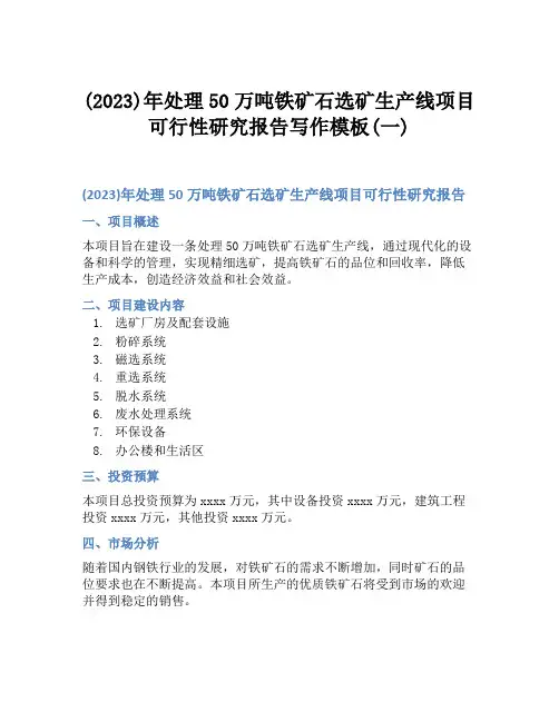 (2023)年处理50万吨铁矿石选矿生产线项目可行性研究报告写作模板(一)