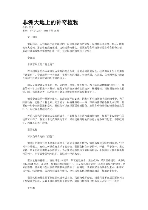 非洲大地上的神奇植物