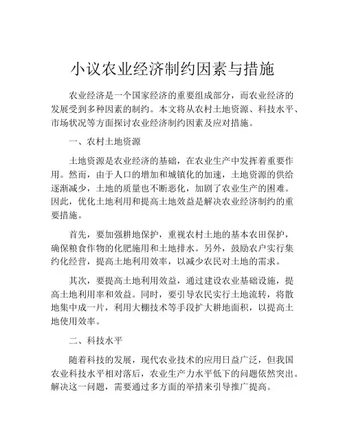 小议农业经济制约因素与措施