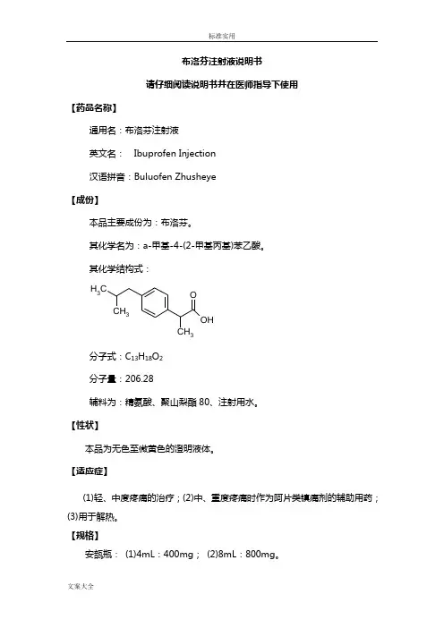 布洛芬注射液药品说明书