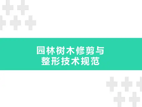 园林树木修剪与整形技术规范