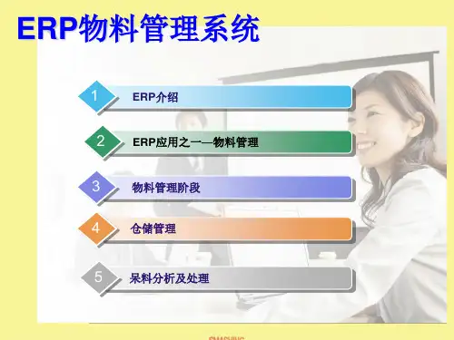 ERP物料管理系统PPT课件