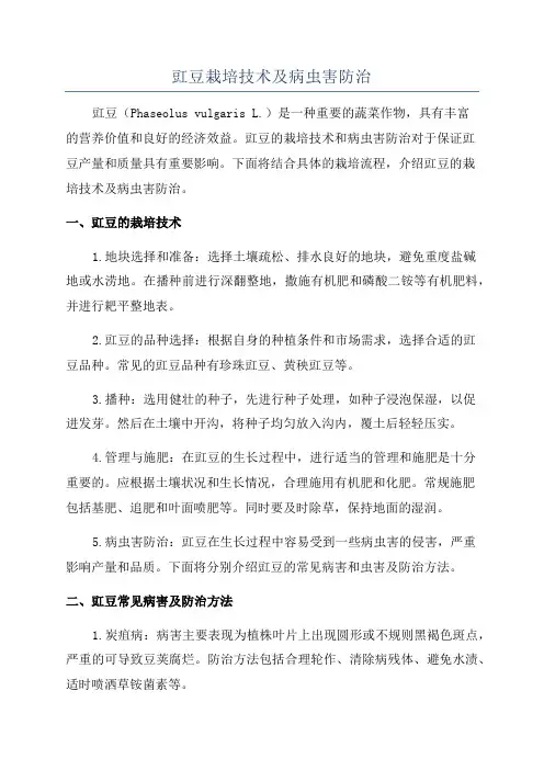 豇豆栽培技术及病虫害防治