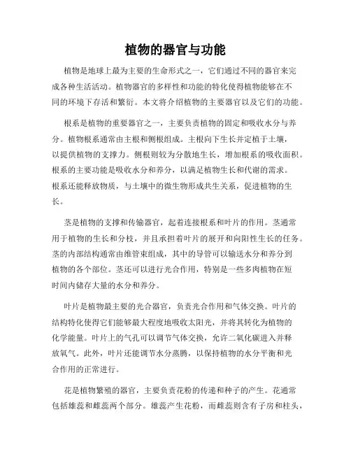 植物的器官与功能