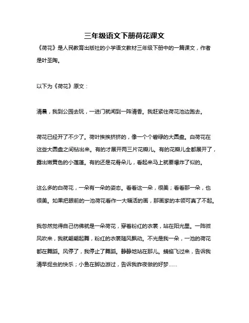 三年级语文下册荷花课文