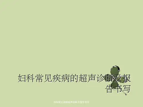 妇科常见疾病超声诊断及报告书写