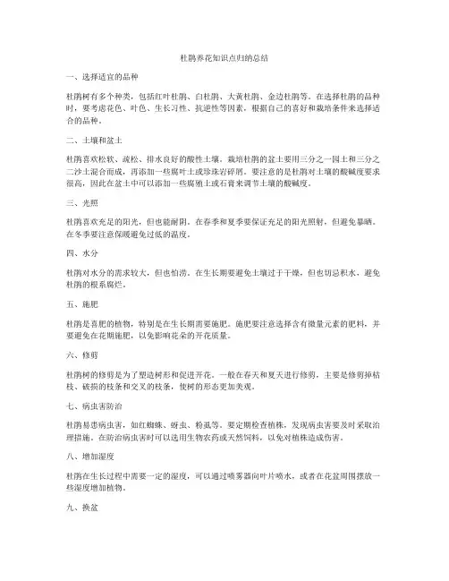 杜鹃养花知识点归纳总结