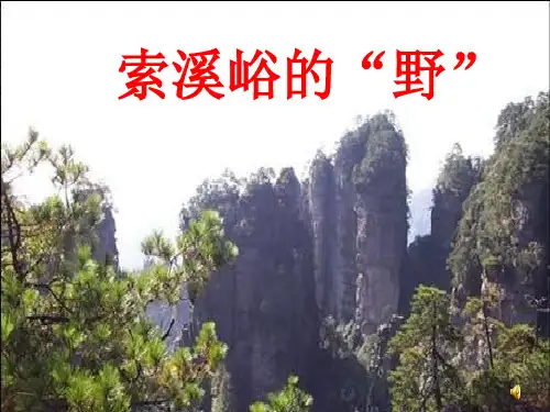 4--索溪峪的野解析