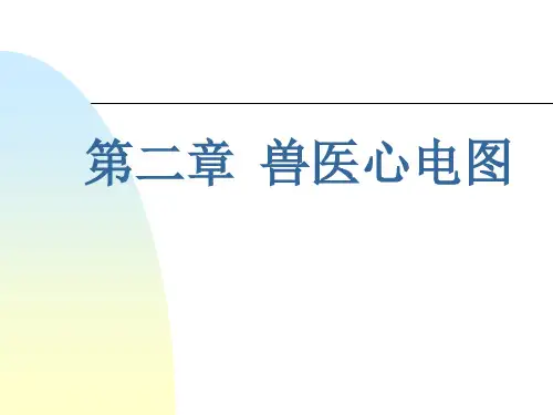 兽医心电图诊断