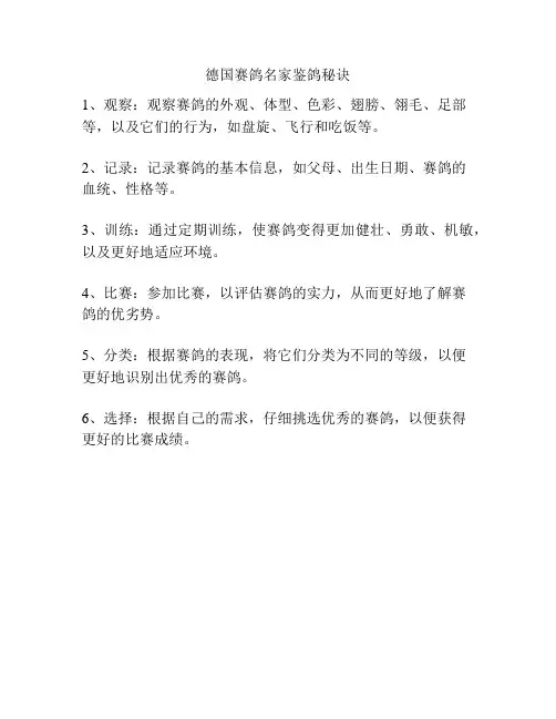 德国赛鸽名家鉴鸽秘诀