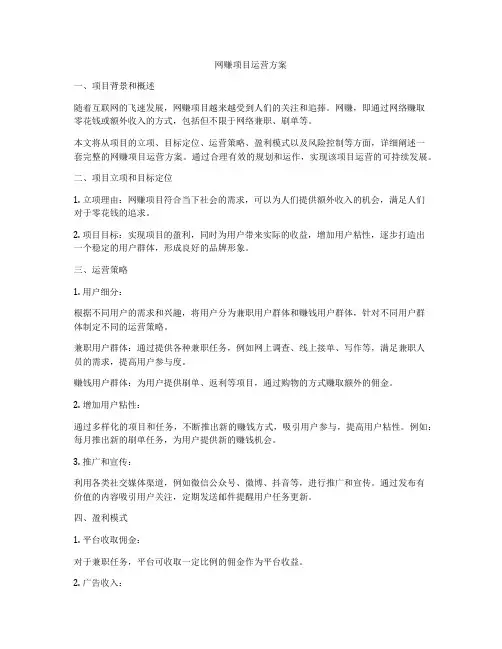 网赚项目运营方案