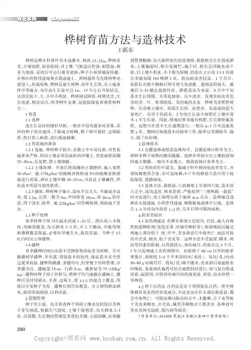 桦树育苗方法与造林技术