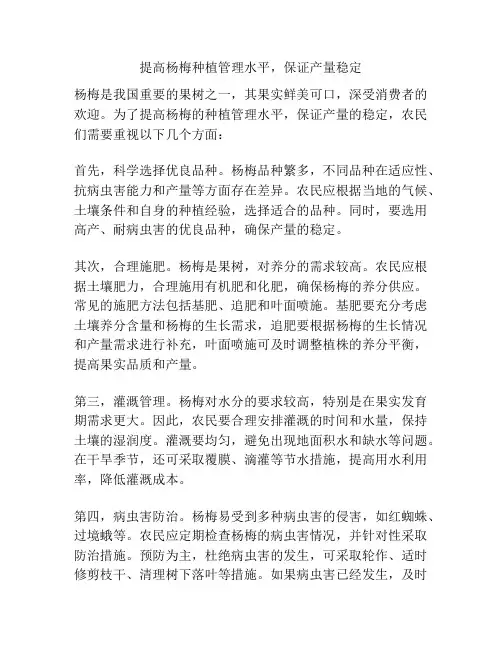 提高杨梅种植管理水平,保证产量稳定