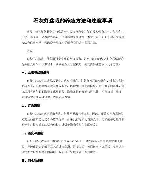 石灰灯盆栽的养殖方法和注意事项