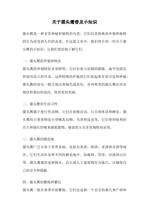 关于猫头鹰普及小知识