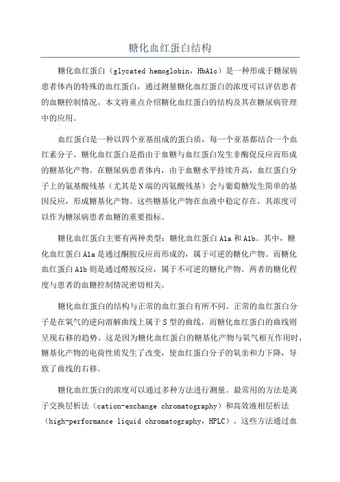 糖化血红蛋白结构
