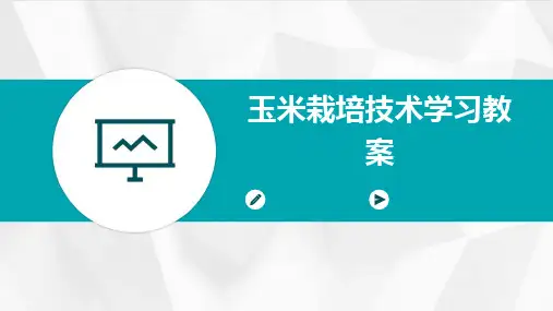 2024玉米栽培技术学习教案
