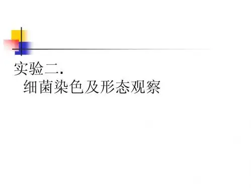 实验2 原核微生物的形态观察及染色