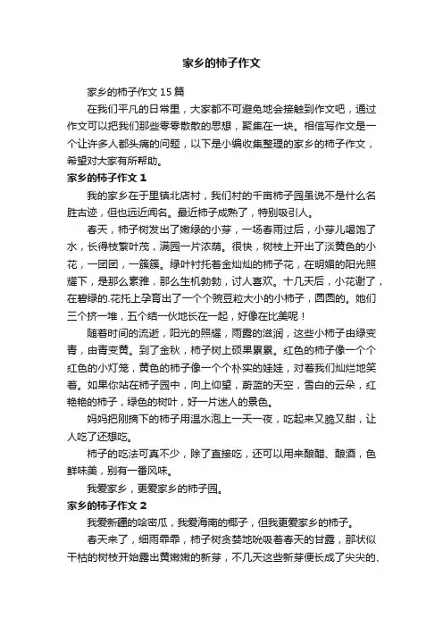 家乡的柿子作文