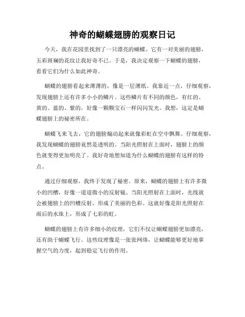 小学三年级作文神奇的蝴蝶翅膀的观察日记