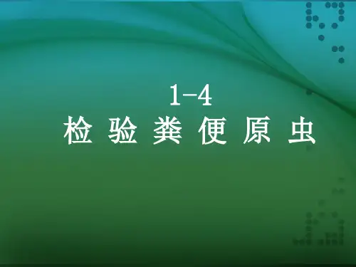 检验粪便原虫PPT课件