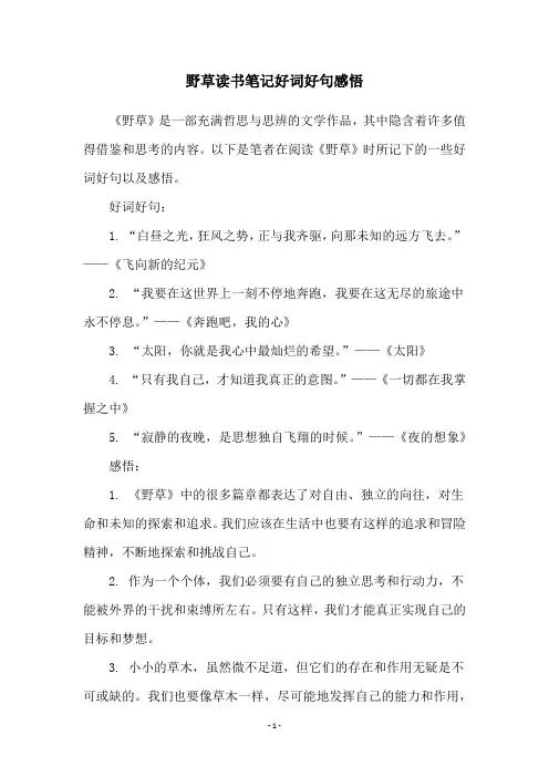 野草读书笔记好词好句感悟