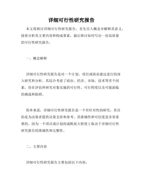 详细可行性研究报告