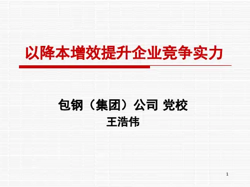 降本增效PPT