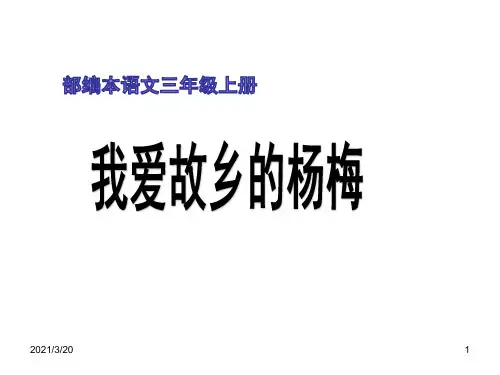 人教部编版三年级上册语文《我爱故乡的杨梅》课件