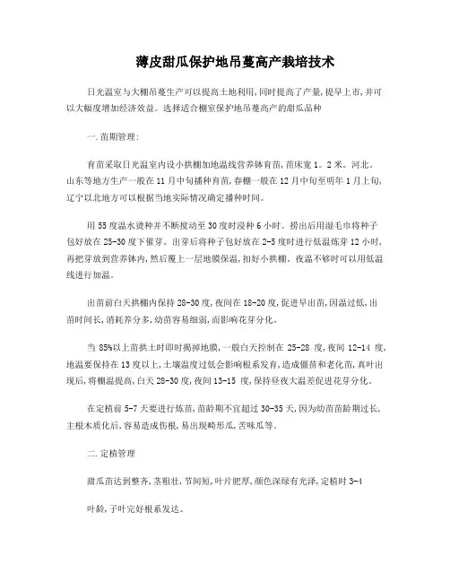 薄皮甜瓜保护地吊蔓高产栽培技术