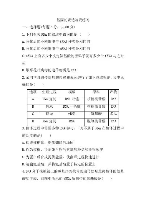 第四单元基因的表达   单元练习-高一下学期生物人教版必修二