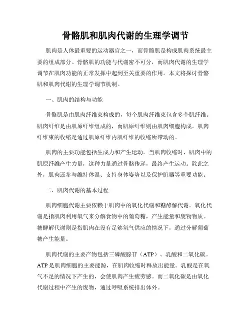 骨骼肌和肌肉代谢的生理学调节