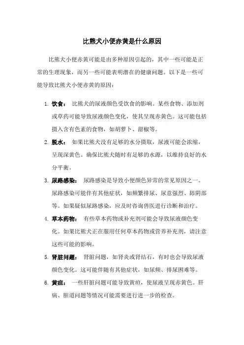 比熊犬小便赤黄是什么原因