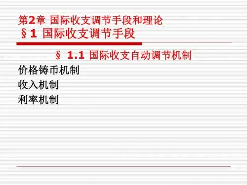 第2章国际收支调节手段和理论..